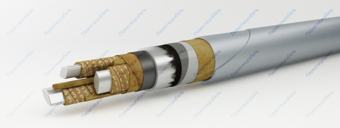 ЦААБНЛГ-10